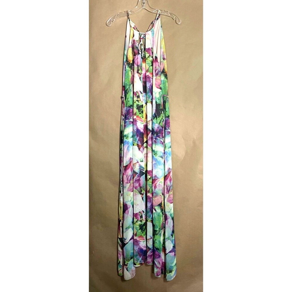 Maggy London Floral Chiffon Maxi Dress Women Size 2 Multicolor Lined A Line Read